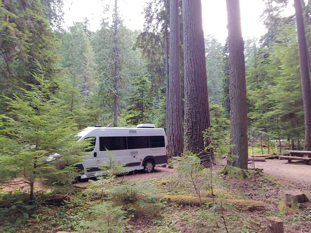 Camping at La Dalles, near Mt. Rainier NP. Gorgeous forest.